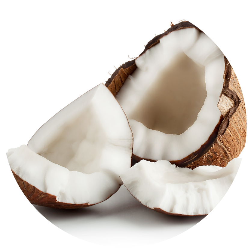 Two halves of a coconut on a white background