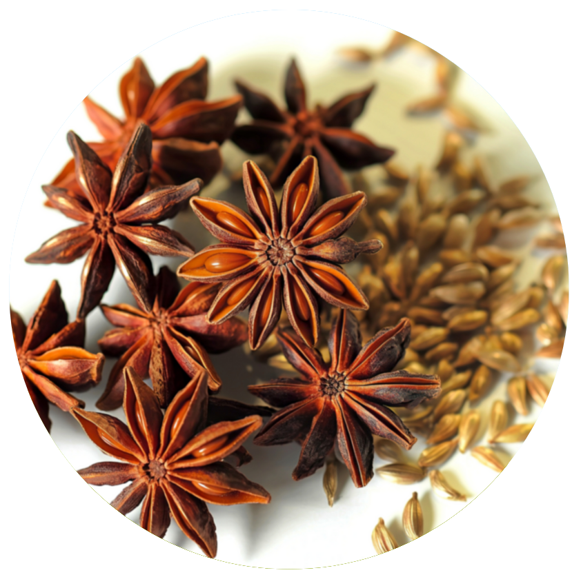 Star anise fruits on a white background