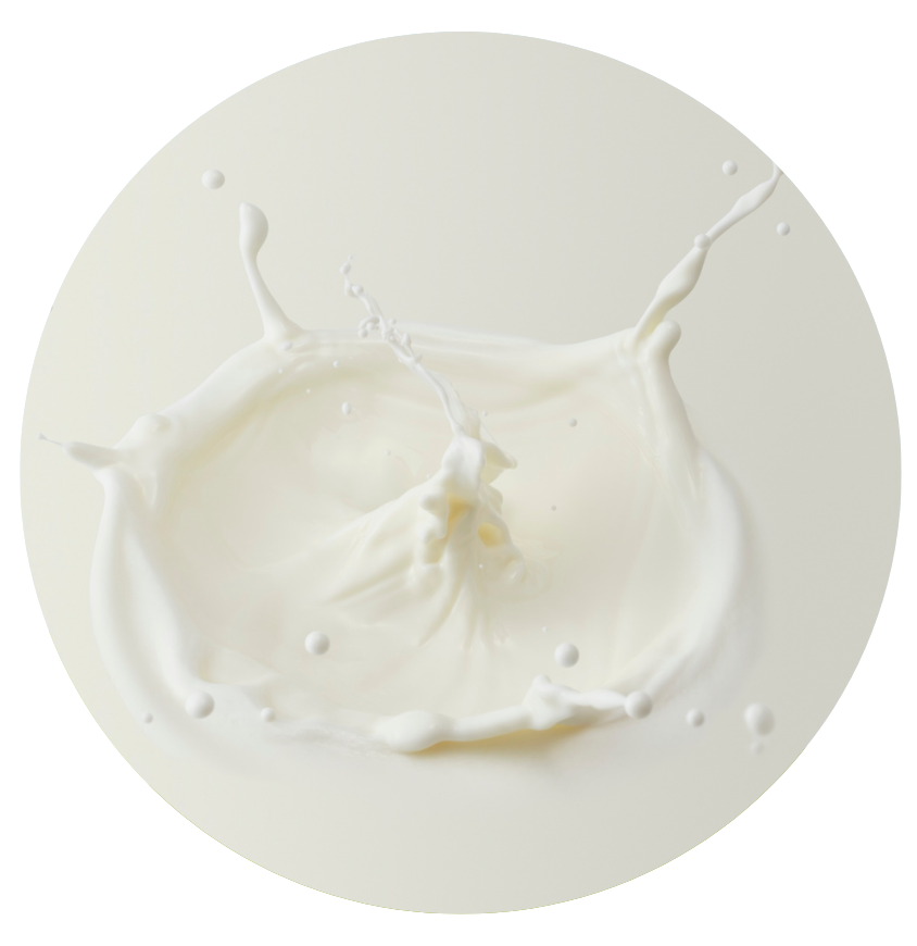 Oat Milk Splashed against cream backdrop
