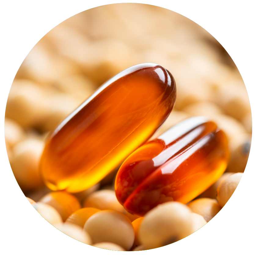Close-up of two orange capsules with a blurred background